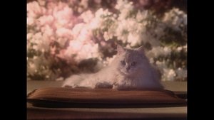 House (1977)