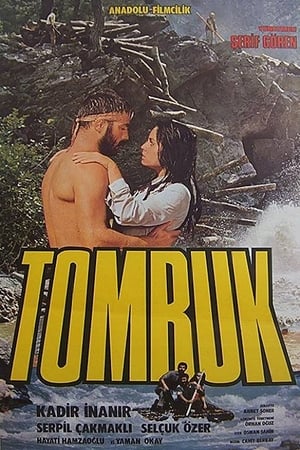 Tomruk poster