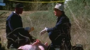 NCIS – Tengerészeti Helyszínelők: 1×14