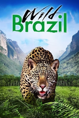 Poster Wild Brazil (2014)