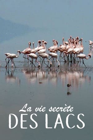 Poster La Vie secrète des lacs 2015