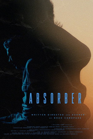 Absorber