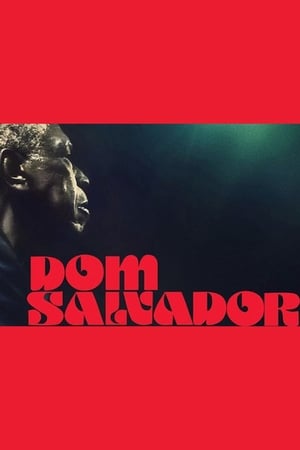 Poster Dom Salvador & The Abolition (2020)