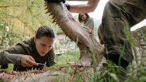 Aniquilación (Annihilation)