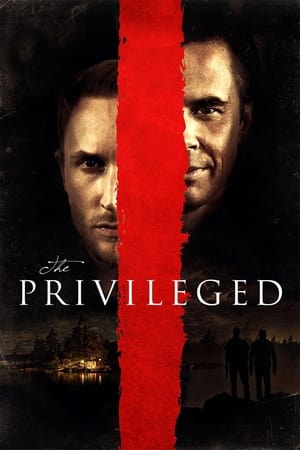 Poster The Privileged 2013
