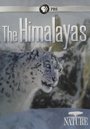 Image The Himalayas