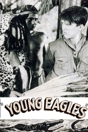 Image Young Eagles