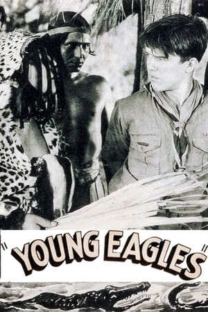 Poster Young Eagles 1935