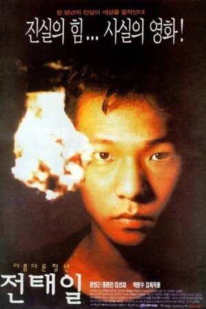 Poster 美丽青年全泰壹 1995