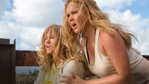 SNATCHED แม่…ลูก…ลุย (2017)