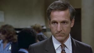 Polizeirevier Hill Street: 4×6