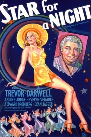 Star for a Night poster