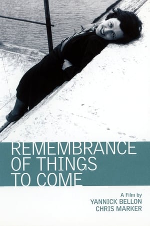 Poster Remembrance of Things to Come (2001)