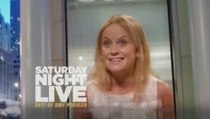 Image The Best of Amy Poehler