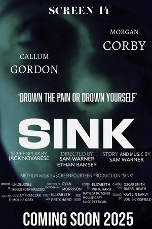 Sink 3