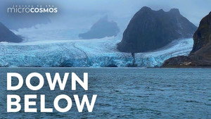 A Microscopic Tour Through A Norwegian Fjord still