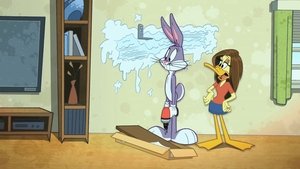 The Looney Tunes Show The Shelf / Chintzy / Goner with the Wind