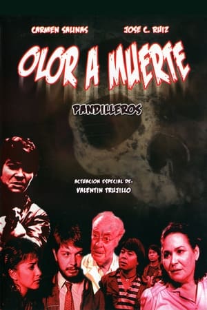 Poster Olor A muerte 1989