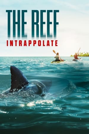 Poster The Reef - Intrappolate 2022