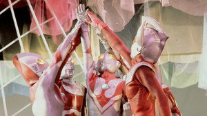 Burn on! The Six Ultra Brothers