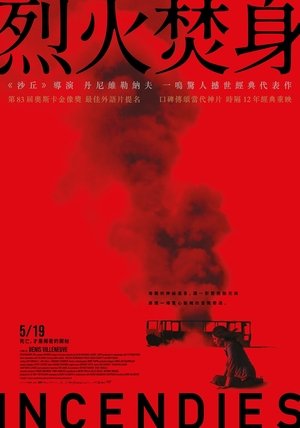 焦土之城 (2010)