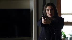 The Blacklist 8×14