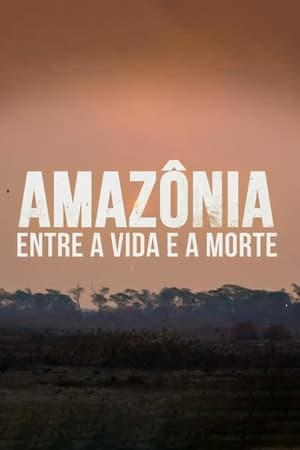 Amazônia: Entre a Vida e a Morte