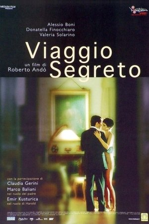 Viaggio segreto poster