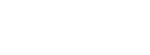 Pulse — Logos 2