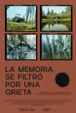 La memoria se filtró por una grieta