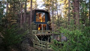 The Cabin Chronicles Big Bear Treehouse