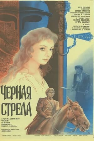 Image Черная стрела