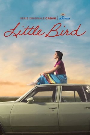 Little Bird movie poster