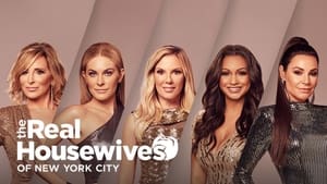 poster The Real Housewives of New York City