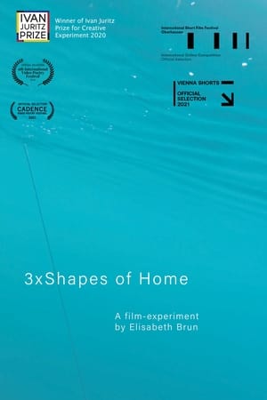 3xShapes of Home film complet