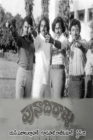 Punadhirallu