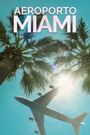 Image Airport 24/7: Miami