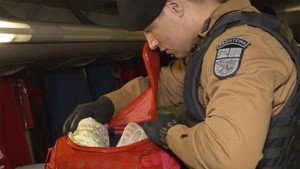 Just Another Day In Paradise