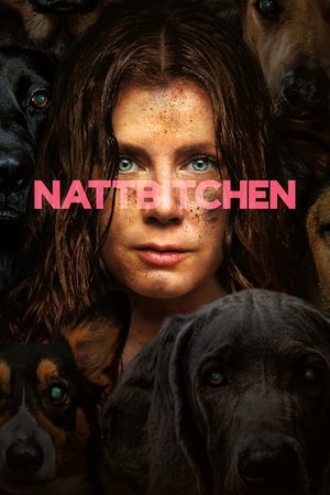 Image Nattbitchen