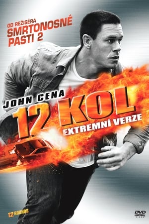 Poster 12 kol 2009