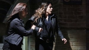 Marvel’s Agents of S.H.I.E.L.D.: 2×12