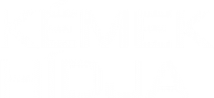 Ponte dos Espiões — Logos 9
