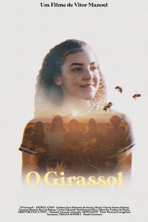 Image O Girassol