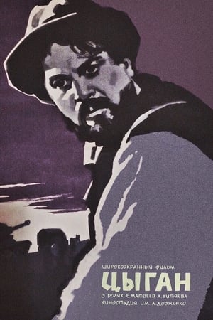 Poster Цыган 1967