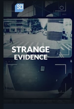Poster Strange Evidence 2017