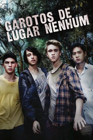 Nowhere Boys (2013)