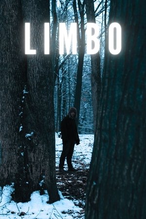 Poster Limbo 2024