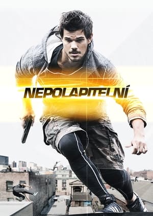 Poster Nepolapitelní 2015