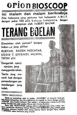 Image Terang Boelan