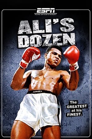 Ali's Dozen (2006) | Team Personality Map